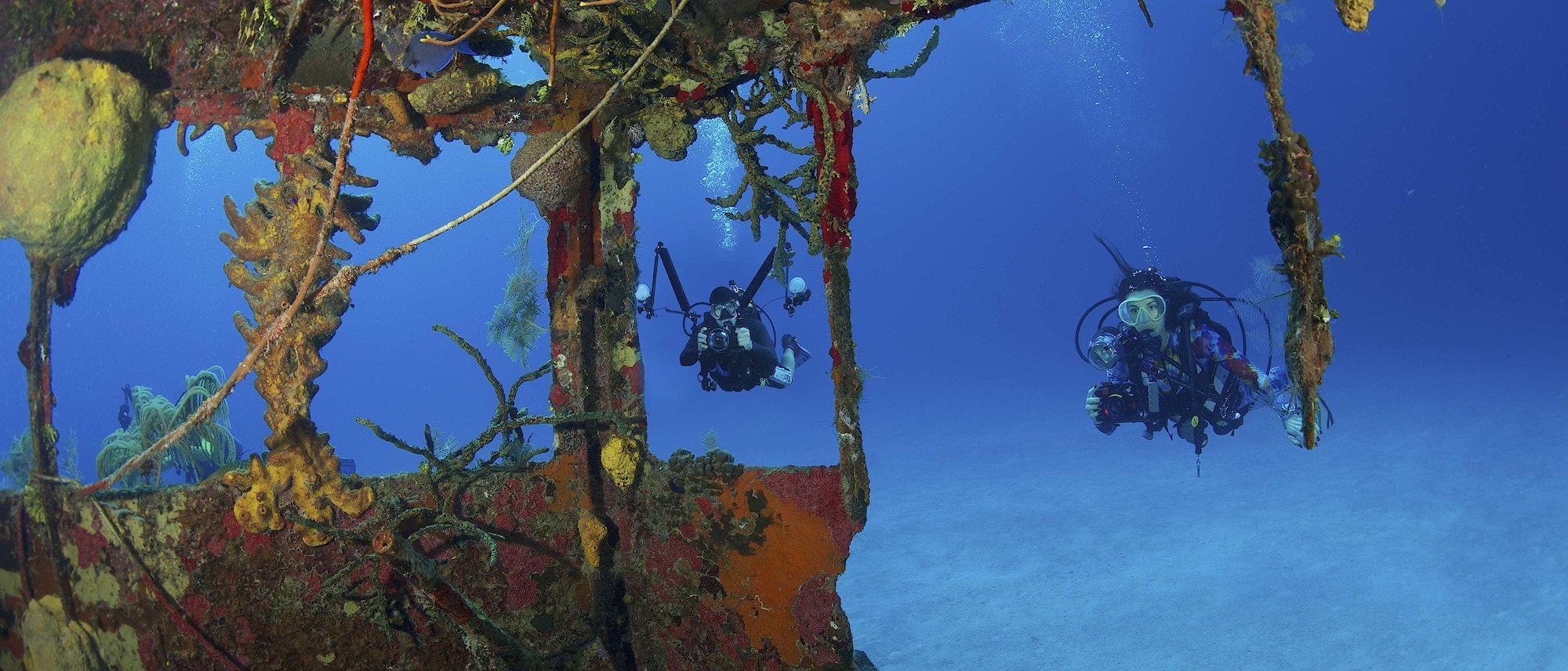 Cayman Diving