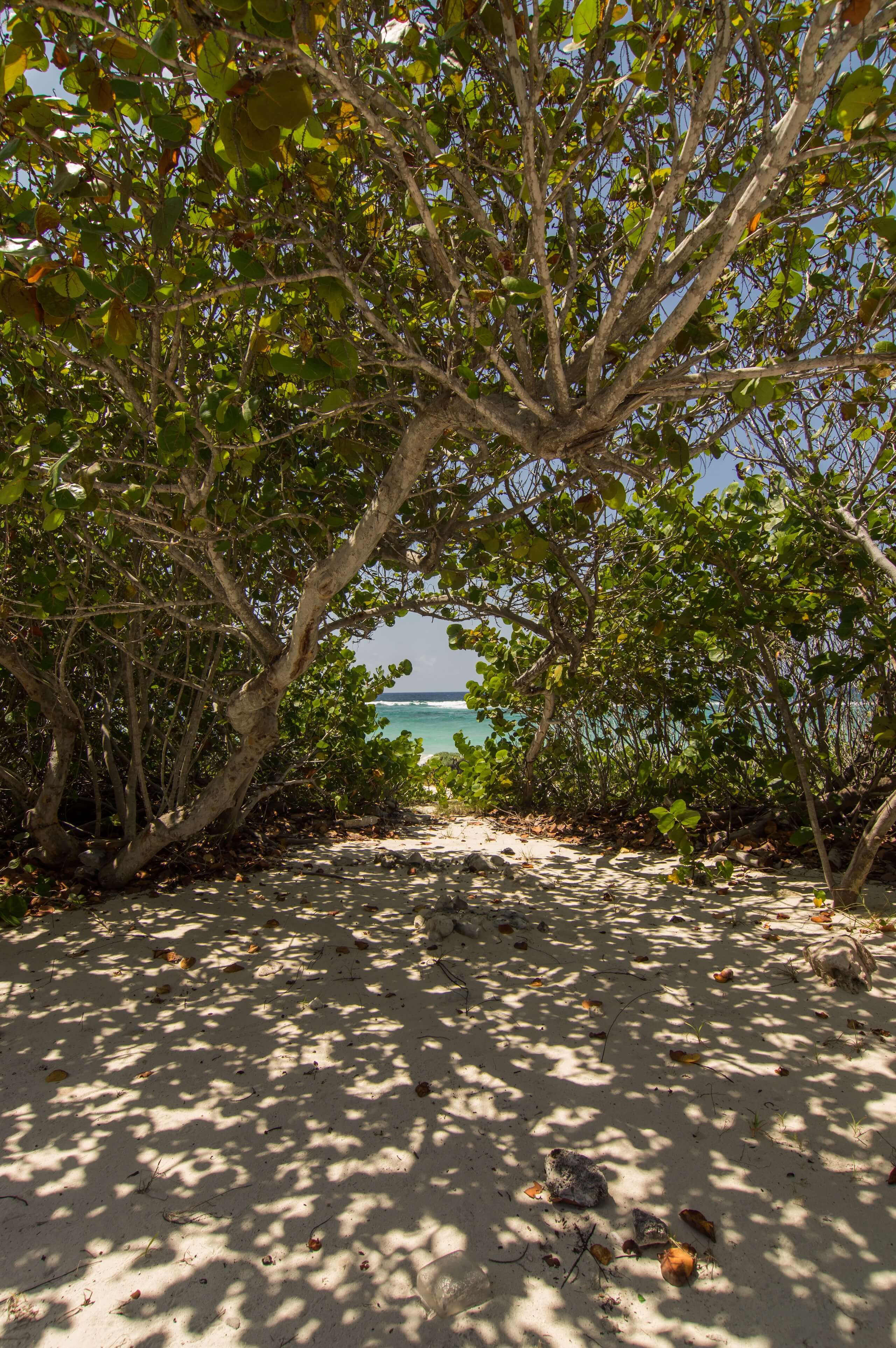 Cayman Brac Cayman Islands Explore Cayman   DOT Brac Beachs 5 