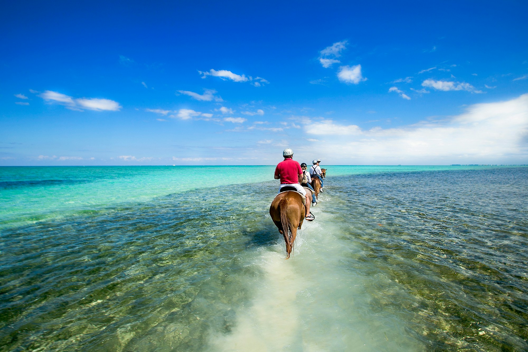 Horse Back Riding Cayman