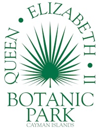 Botanic logo ai