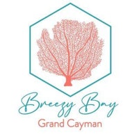 Breezy bay square logo