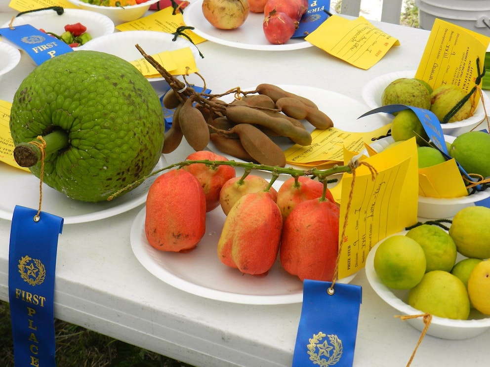 Local cayman food fruits