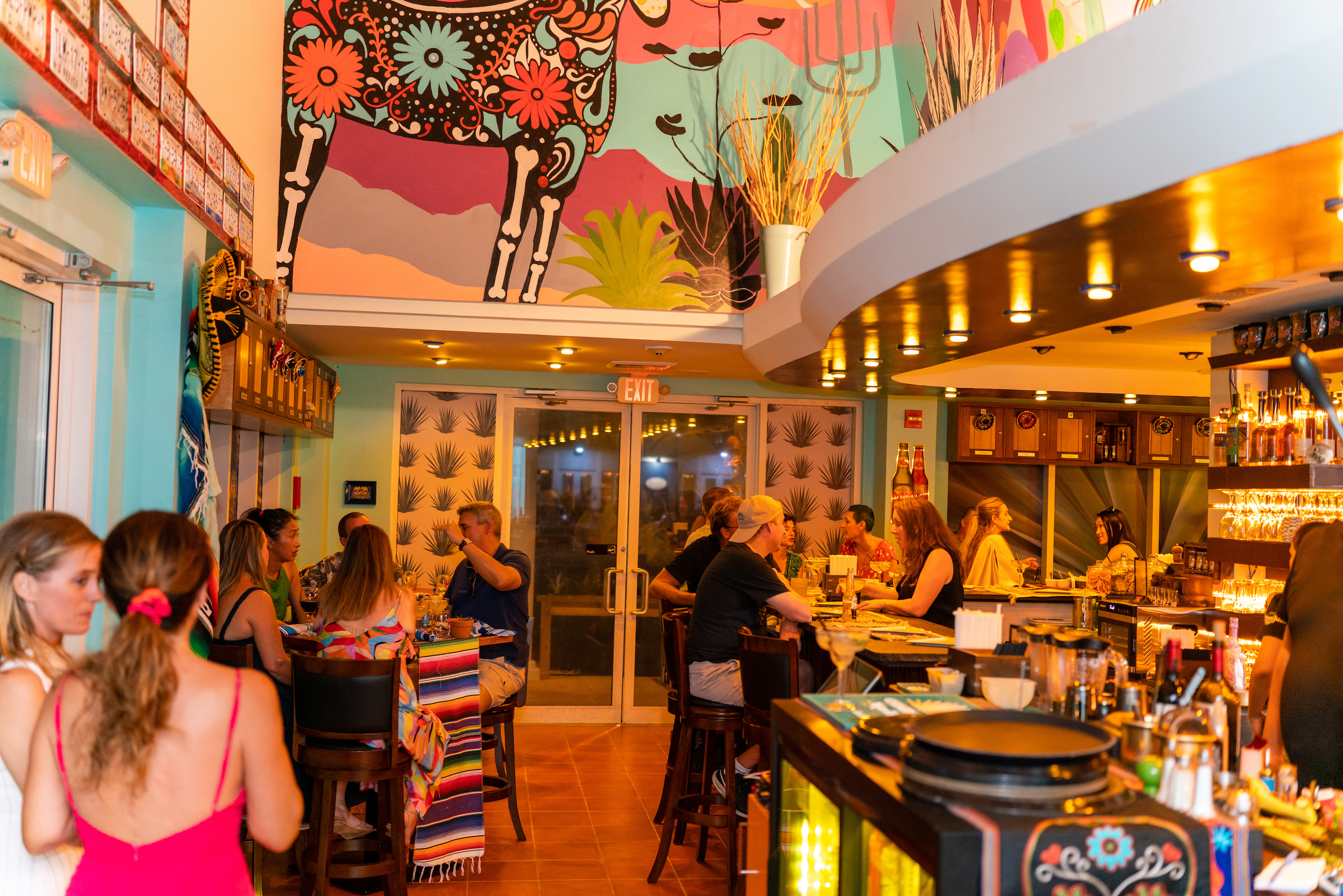 Taco Cantina | Explore Cayman